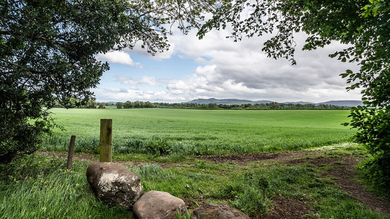 Luxury Living in the Heart of Scotland: Norton House Hotel Ingliston Image