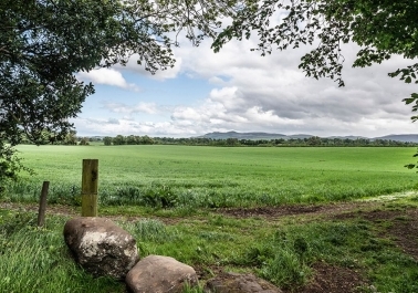 Luxury Living in the Heart of Scotland: Norton House Hotel Ingliston body thumb image